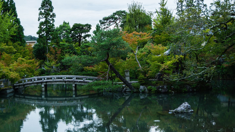 Hojo Pond, Eikan-do Zenrin-ji Temple